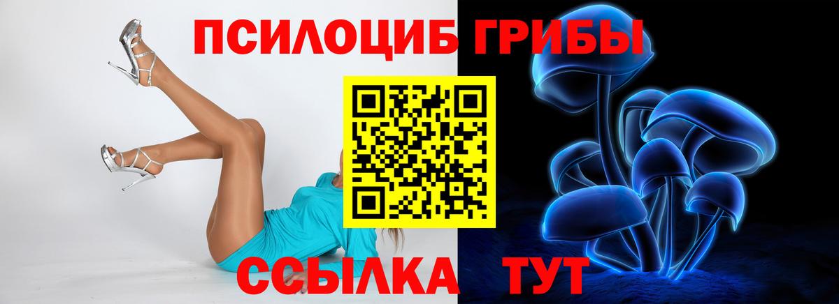 Псилоцибиновые грибы GOLDEN TEACHER Новошахтинск